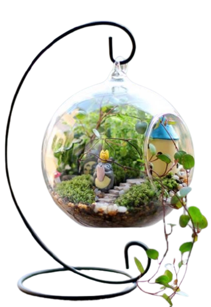 Vật tư trang trí, tiểu cảnh terrarium